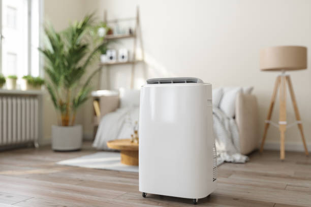 Best Energy-efficient HVAC Solutions in Dayton, NV